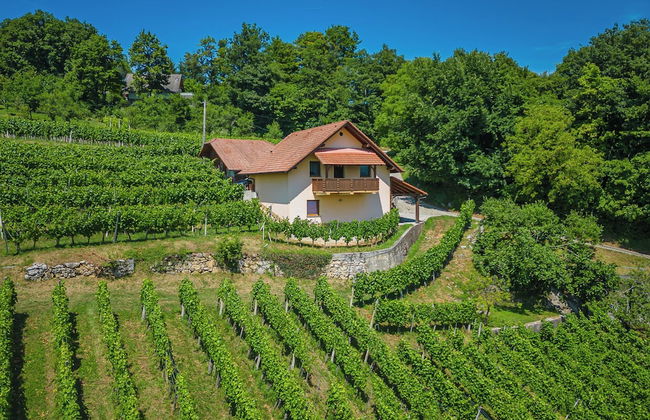 Vineyard Cottage Ucman - Foto 1