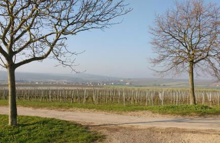 Antjes Ferienwohnung Flonheim - Foto 36