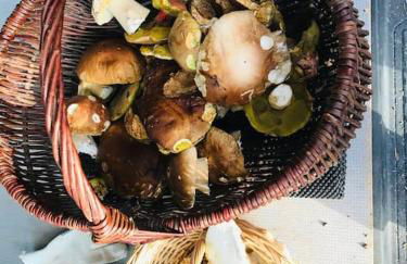 Ferienwohnung am Harz - Foto 27