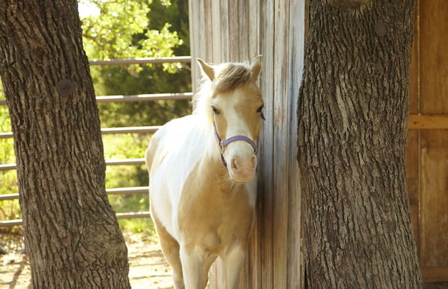 Settlers Crossing - Foto 46