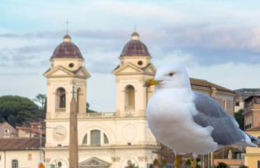 Migliori Collection Loft Roof Top - Foto 16