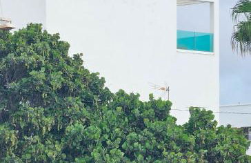 Ático Monarca II - Foto 27