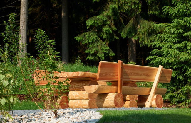 Holiday Apartment Waldfrieden - Photo 19