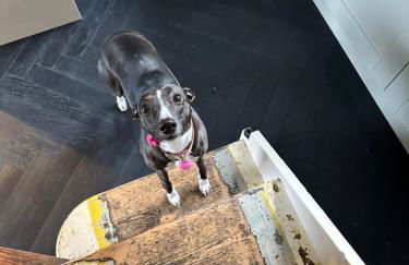 Waterside Victorian house at Golant Fowey - Foto 27