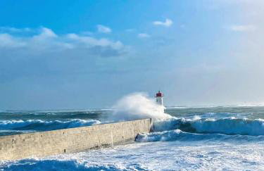 Les hortensias de papy - Foto 16