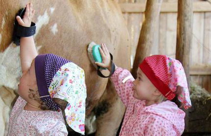 Ferienbauernhof Herrmann - Foto 32