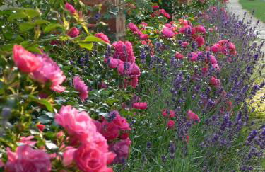 Große Wohnung / Haushälfte in Peetzig am See - Foto 66