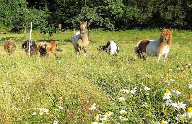 Wohnung mit Eigener Terrasse in Huddinge - Foto 38