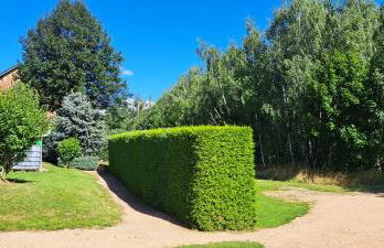 Ferienwohnung am Viaduktweg Familie Roman - Foto 32