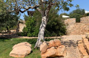 Casa Branca - Foto 24