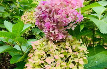 Peaceful Country Living at Apartments at Villa Clara - Foto 48