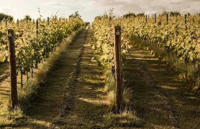 Charming Kenton Cottage - Foto 47