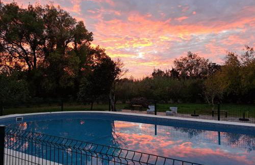 Monte Horta da Velhinha - Foto 3