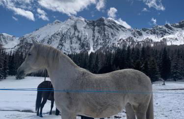 Grande Maison Du Coeur Champoluc Spa,Gym e Aree Relax - Foto 41