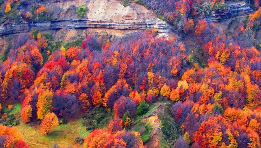 Tour por la Reserva Nacional Magallanes