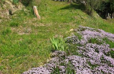 San Martino Country Villa - Foto 14