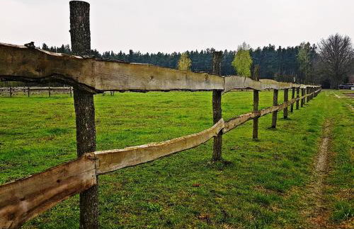 Agroturystyka Pod Modrzewiami - Foto 75