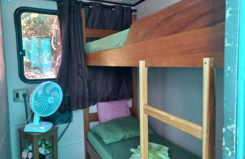 Barco Casa Pantanal Toca da Onça - Photo 13