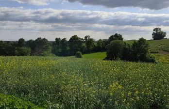 Moderne Doppelhaushälfte mit Süd-West-Terrasse - Foto 34