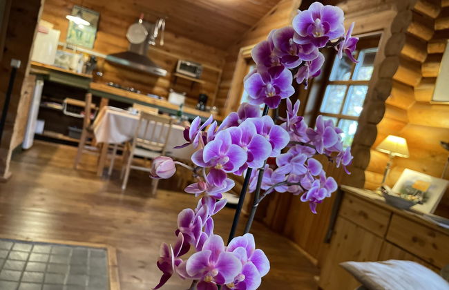 Birdieferienhaus - Foto 11