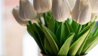 Maison de la Rochejaquelein - Photo 5