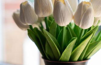 Maison de la Rochejaquelein - Photo 5