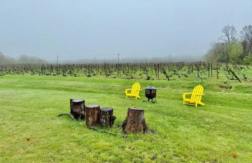 Purple Parrot - Foto 25