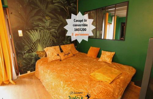 MAISON "Jungle House" 90 m2 BILLARD, RÉTROPROJECTEUR, BAR À JEUX , VINYLE, WIFI FIBRE, idéal PRO & FAMILLE à Montbrison - Foto 30