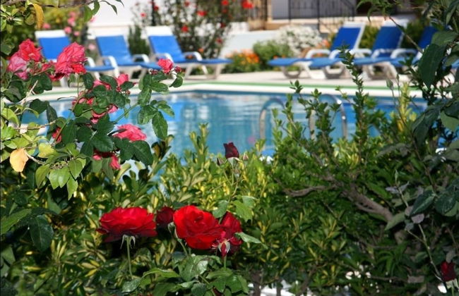 Agar Apart - Photo 14