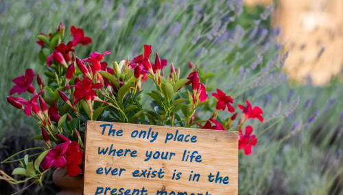 Podere Felceto - Photo 5, Garden view