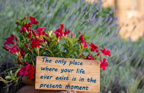 Podere Felceto - Photo 5