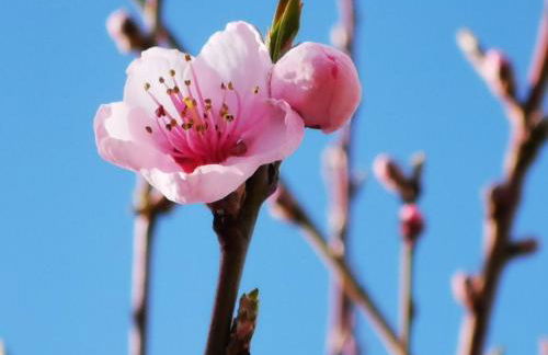 Studio cosy 32m2 independant dans maison - Foto 16