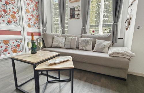 T2 en centre historique, ambiance chaleureuse - Foto 3