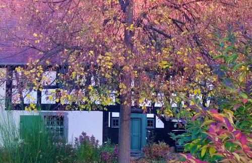 Ferienwohnung Anno1898 Zittau - Foto 50