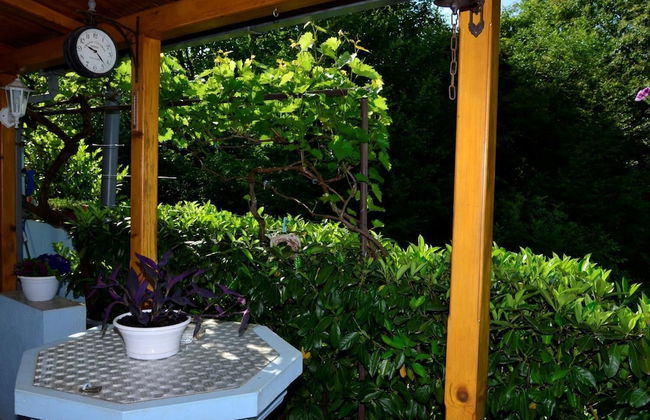 Apartment Blumen Oase - Foto 14