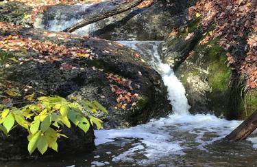 Cabin on 17 acres by National Forest - Foto 36