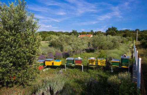 Officinalis - Family Vacation House - Photo 38