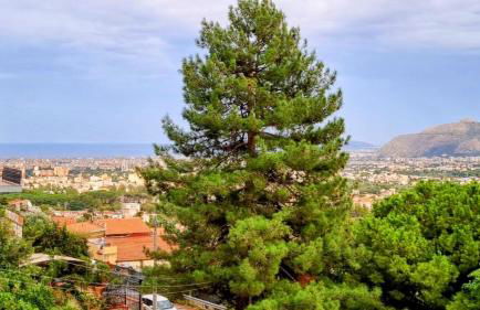 Casale di Sicilia - Foto 11