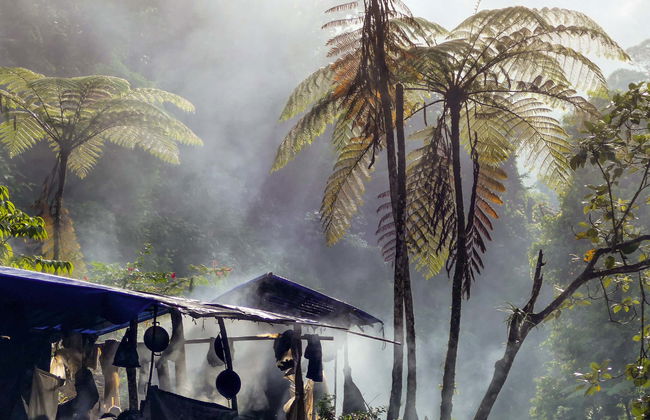 Noite na selva amazônica - Foto 1