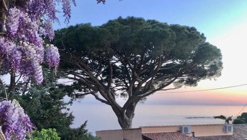 Villa Lilause - Foto 4