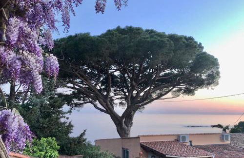 Villa Lilause - Foto 4