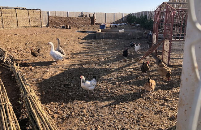 Bio et Bois - Foto 71