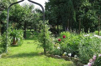 Gästehaus Winzerhof Bader - Foto 15