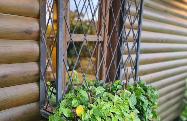 Quinta Pavo Real Complex by Acomodo - Photo 19