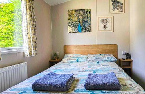 Dog Friendly 8 Berth Static Caravan Newquay - Foto 6