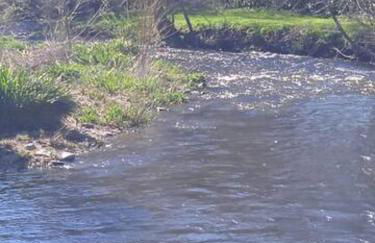 Vacances au calme - Foto 14