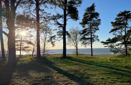 Domki na Skarpie - Wypoczynek z widokiem na Zalew - Frombork - Foto 31