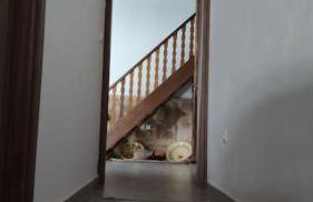 Heliophilia Malona - Photo 8