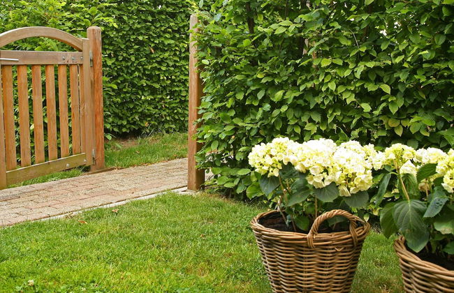 Lovely Farmhouse in Wijlre With Forest Nearby - Photo 38