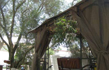 St Paul and Peter's House - Foto 3